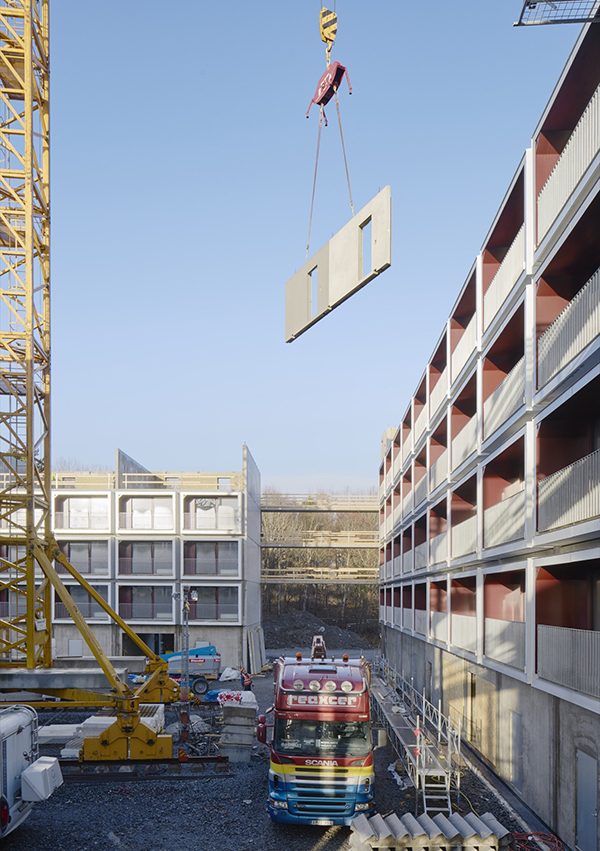 1563790848473429.jpg 7.jpg