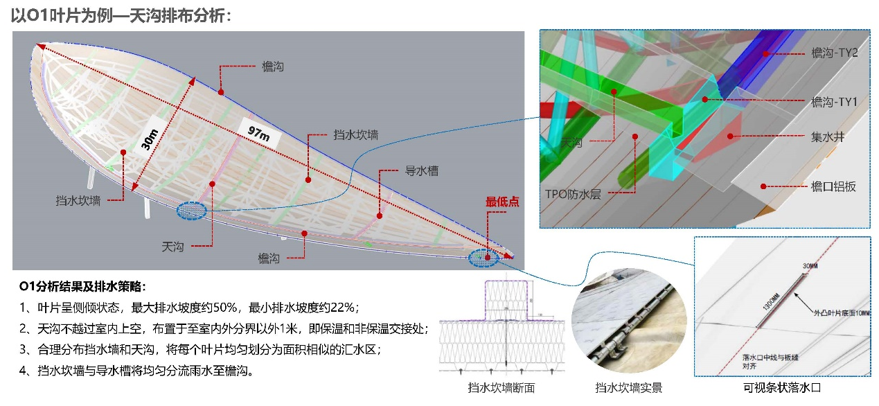 1769158216678319.png 1769158216678319.png